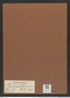 Guinardia flaccida (Castr.) Perag. (de-Toni-Nr.: Genus 113, Species 3284) Zeichnungen Sammlung Grunow Mappe 03504 (Herbarium_W_Grunow_drawings_Folder_03504)